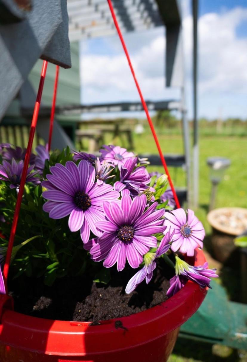 Hotel Maple Hut Four Acre Farm Aylsham Esterno foto